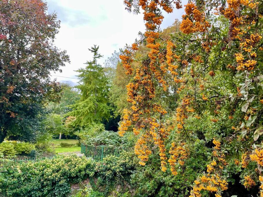 Vernon Place Town Centre, Vernon Cottage 3-Bed With Parking, 1A Vernon Court 2-Bed With Parking, 1B Studio No Parking, Off The High Street Next To Sandford Park Cheltenham Extérieur photo